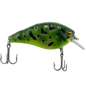 Bayou Bullfrog