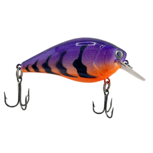 Violet Vengeance 2.5 Square Bill Crankbait